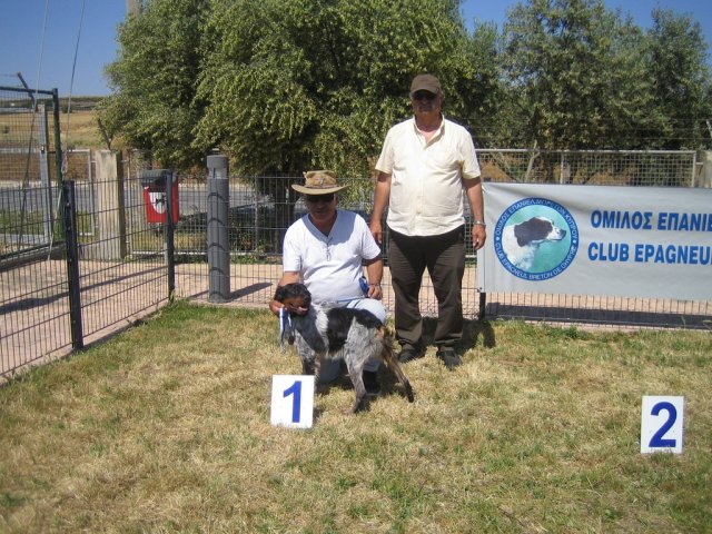 17th National Breed Show